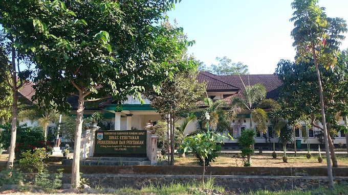 dinas-pertanian-kabupaten-sumbawa-barat-collection