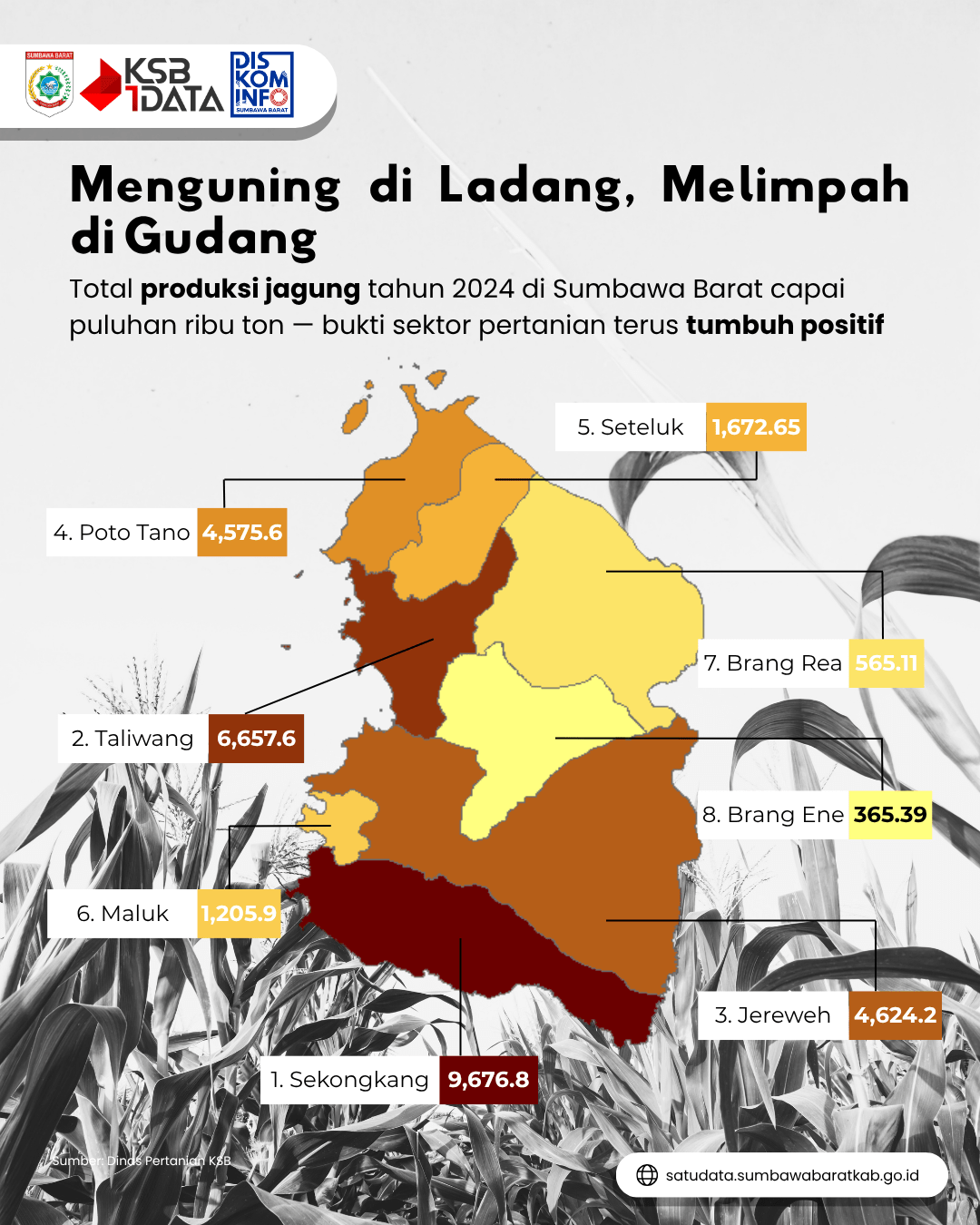 produksi-jagung-menurut-kecamatan-tahun-2024-collection