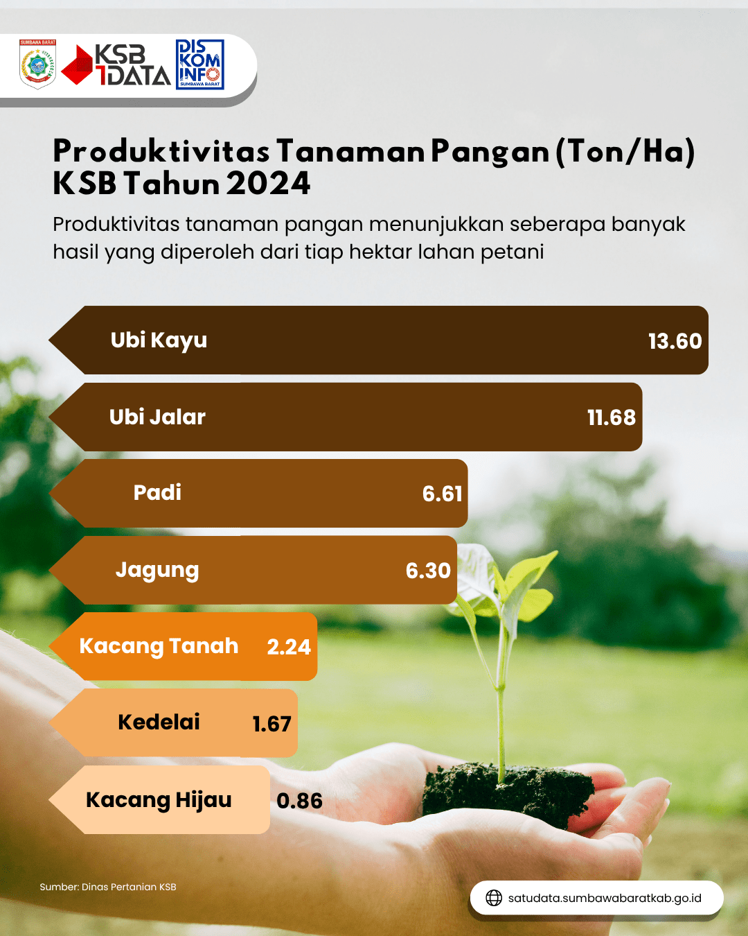 produktivitas-tanaman-pangan-tahun-2024-collection